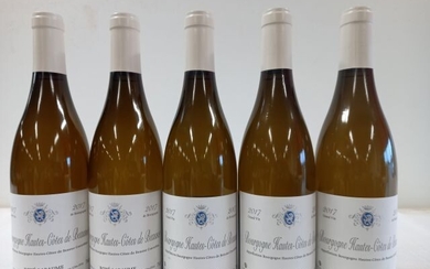 5 bouteilles de Bourgogne Hautes Côtes de... - Lot 52 - Enchères Maisons-Laffitte