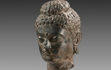 Art gréco-bouddhique du Gandhara, IIe-IIIe siècle Tête de Bouddha