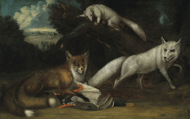 German School, 18th Century, A two-tailed fox with his catch of a mallard, together with an albino fox and an albino marten in a wooded landscape