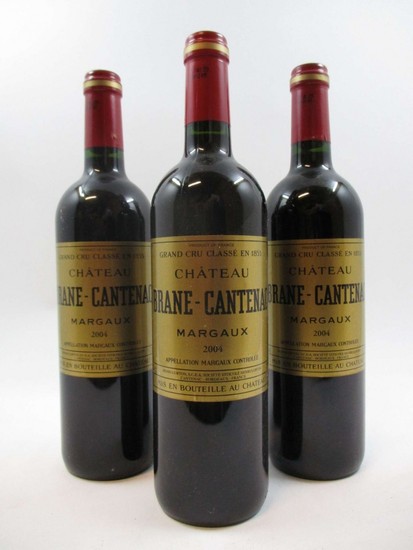 6 bouteilles CHÂTEAU BRANE CANTENAC 2004 2è GC Margaux