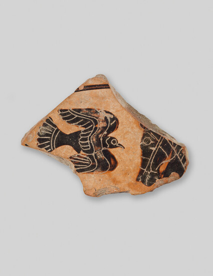 A Fragment from a Greek Black-Figured Cup