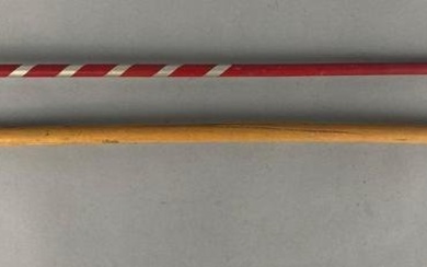 A Group of 2 1934 Chicago Worlds Fair Souvenir Wood Walking Canes