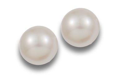 AUSTRALIAN PEARLS AND YELLOW GOLD EARRINGS