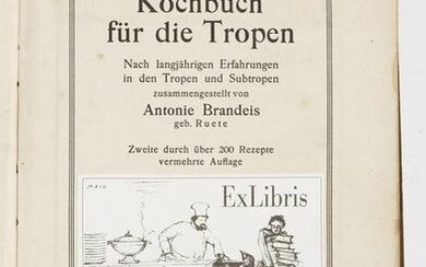 Antonie Brandeins: "Kochbuch für die Tropen.