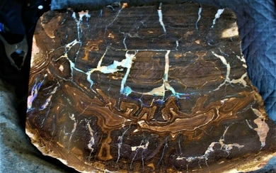 Australian Fire Opal boulder , large size , lots of