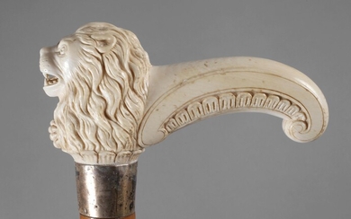 Canne ivoirevers 1880, poignée incurvée en forme de tête de lion sculptée se terminant par...