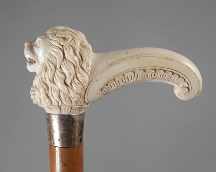 Canne ivoirevers 1880, poignée incurvée en forme de tête de lion sculptée se terminant par...