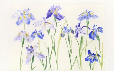 Dame Elizabeth Violet Blackadder DBE, RA, RSA (b.1931) Scottish ''Irises''...