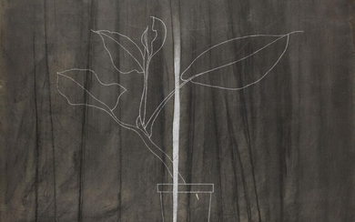 Derrick Greaves, British b.1927 - Plant and Curtain, 1973; charcoal and chalk on paper, signed lower right 'Derrick Greaves 73', further signed, titled and dated to the reverse, 82 x 120 cm (ARR)