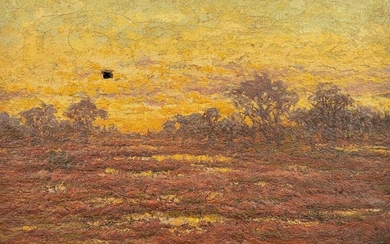 Djef ANTEN (1851-1913) 'landscape' a painting, oil on