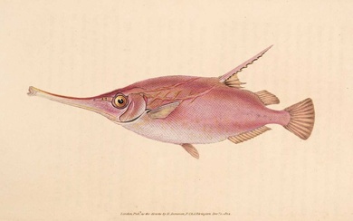 Donovan (Edward). The Natural History of British Fishes, 5 volumes, 1808