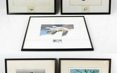 Duck Stamp Prints with Stamp, Signed by Artist