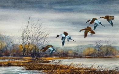 Edward Frak Watercolor "Pintails Coming In"