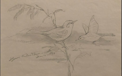 Gould Bird Study