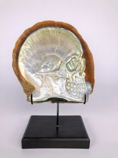 Mother of Pearl Shell with Human Skull Carving