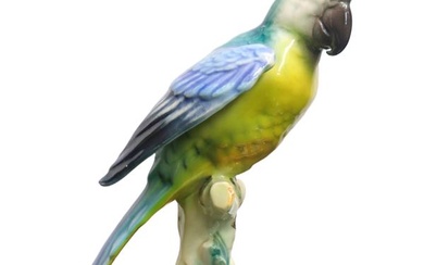 Polychrome parrot on a branch
