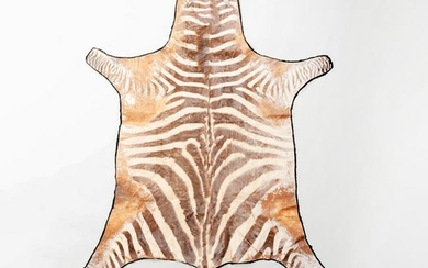 Small Zebra Skin Rug