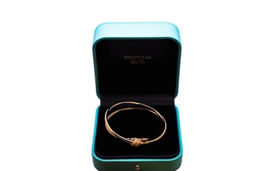 Tiffany & Co Knot Double Row Hinged Bangle in Yellow Gold with Diamonds