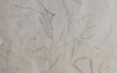 Tsugouharu FOUJITA. "Branchages". Crayon sur papier.43 x 32 cm