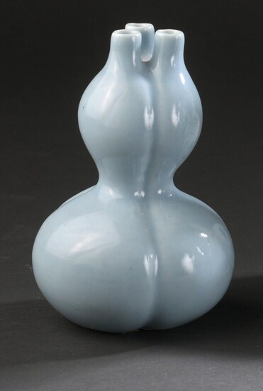 Vase double gourde trilobé en porcelaine... - Lot 52 - Daguerre