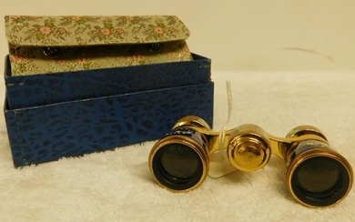 Vintage French Enameled Opera Glasses