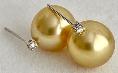 18 kt. Gold - Earring Golden South Sea Pearl - Diamonds