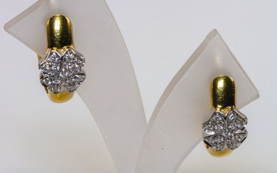 18 kt. White gold, Yellow gold - Earrings - Diamonds