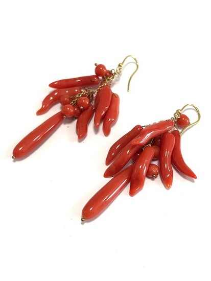 18 kt. Yellow gold - Earrings Sardinian red coral