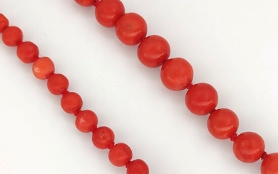 18 kt.Yellow gold - Necklace - Red Mediterranean coral