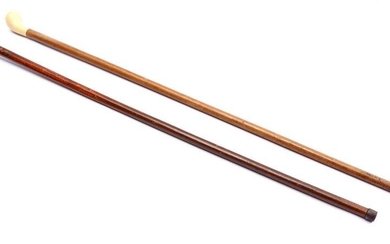 2 old walking sticks with plastic handle