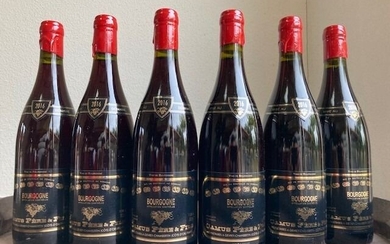 2016 Bourgogne Rouge - Domaine Camus - Bourgogne - 6 Bottles (0.75L)