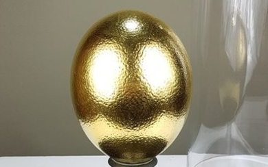 24ct Gold-leaf Ostrich Egg under large Glass Dome - Struthio camelus - 40×23×23 cm