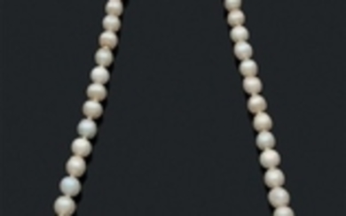 Collier "perles fines" Chute de 63 perles...
