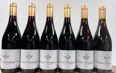 6 bouteilles de Bourgogne 2018 Côteaux Bourguignon... - Lot 53 - Enchères Maisons-Laffitte