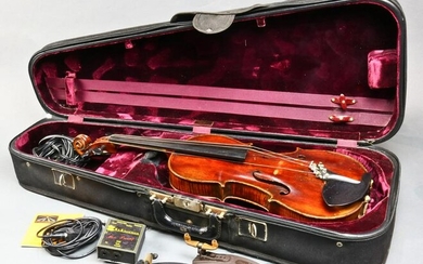 An European viola
