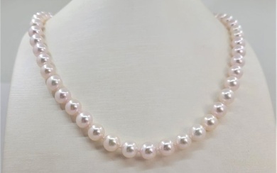 8x8.5mm Bright - 925 Akoya pearls, Silver - Necklace