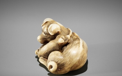 A SUPERB IVORY NETSUKE OF A FEMALE DOG WITH YOUNG, ATTRIBUTED TO OKATOMO