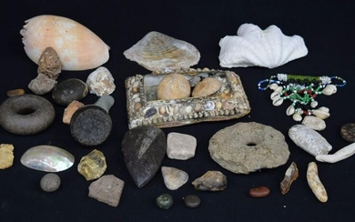 A collection of shell, fossil and stone samples. (Qty).