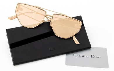 Christian Dior "DiorClan2" Sunglasses