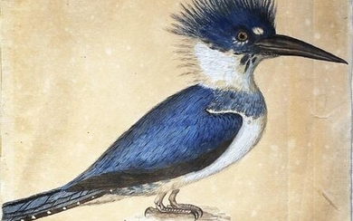 Davies Kingfisher Original Watercolor