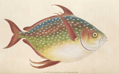 Donovan (Edward). The Natural History of British Shells & British Fishes, 10 volumes in 4, 1799-1808