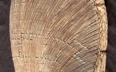 Former shield of the Massa Chad people (1) - Plant fibre, skin - West-Afrika