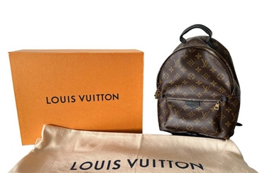 Louis Vuitton - Palm Springs Backpack Mini Backpack