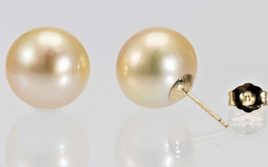 NO RESERVE PRICE - 12x13mm Golden South Sea Pearls - 14 kt. Yellow gold - Earrings