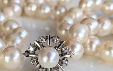 Necklace - White gold - Diamond