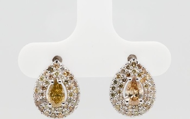 No Reserve Price - 1.66 tcw - Fancy Mix Yellow - 14 kt. White gold - Earrings Diamond
