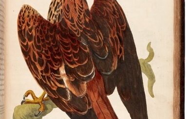 PENNANT | The British zoology, 1761-1766