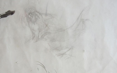 Tsugouharu FOUJITA. deux oiseaux. Crayon sur papier. 16 x 25.5 cm