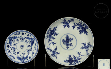 Two blue-and-white porcelain "Flowers and Butterflies" Qing dynasty dishes