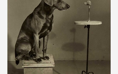 William Wegman (American, B. 1943) Contemplating the Bust of Man Ray (Plate VI from Man Ray: A Portfolio of 10 Photographs)